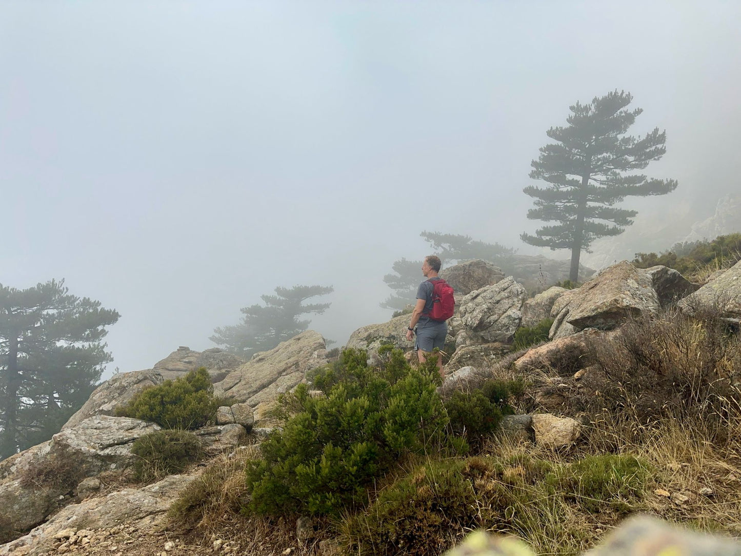 Garder le cap, même dans le brouillard.